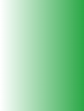 ChatKnow平台支持装饰图